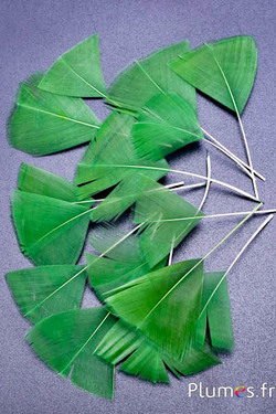 Pluimenblaadjes - 6-8 cm x 3-4 cm - mosgroen